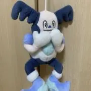 キィーちゃんの画像