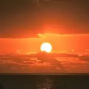 Sidoの画像