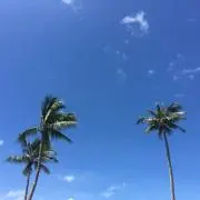 juriの画像