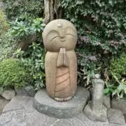たまの画像