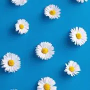 akoの画像