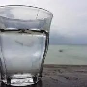 モカの画像