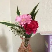 るりの画像