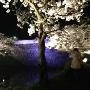 しょーちゃん