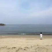 はなちゃんの画像