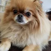 ミキティ。