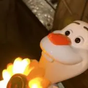 アカツキの画像