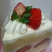 ミィー