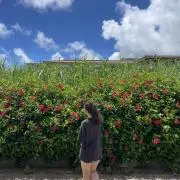 あみ