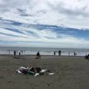 まっぴの画像