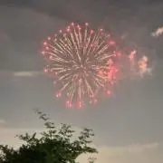 ハナハナの画像