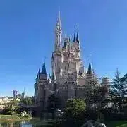 Sの画像