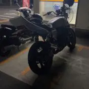 まいまいの画像