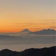 Nasuの画像