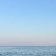 to31の画像
