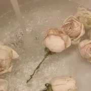 ♡の画像
