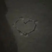 はっぴーたーんの画像