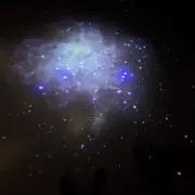 たくの画像