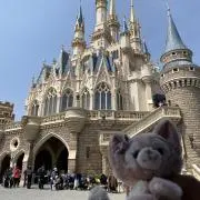 オレンジ⭐︎の画像