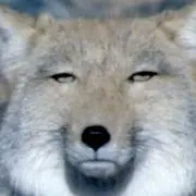 mm