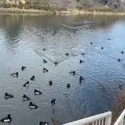 Mamiの画像
