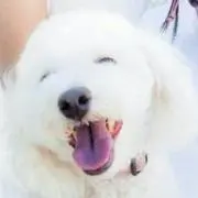 ララサンシャインの画像