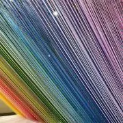 えびねこの画像