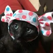 たまさん　(プロフ見てください☆)