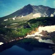 mossaの画像