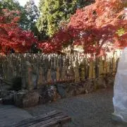 じんたの画像