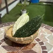 太陽の画像