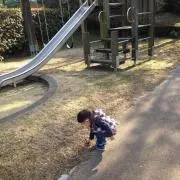 NT_NYの画像