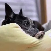 TNDRの画像
