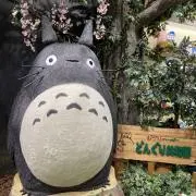 たこの画像