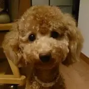 まりん