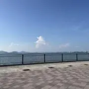 かなぶんぶんまる