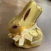 ショコラビの画像