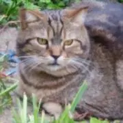 じいじの画像