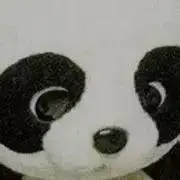 ゆあの画像
