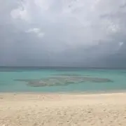 ボージャン・クルキッチ 直筆サインボール - メルカリ