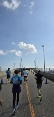 ソラの画像