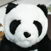 みかぽんの画像