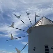 Piliの画像