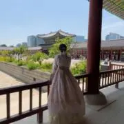 ひなの画像