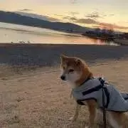 なるとの画像