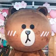 まろちゃんの画像