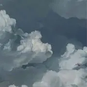 miyacoの画像