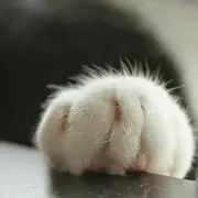 うりうり　♪プロフィールご一読くださいの画像
