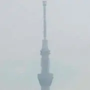 ビザール