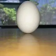 おかだ